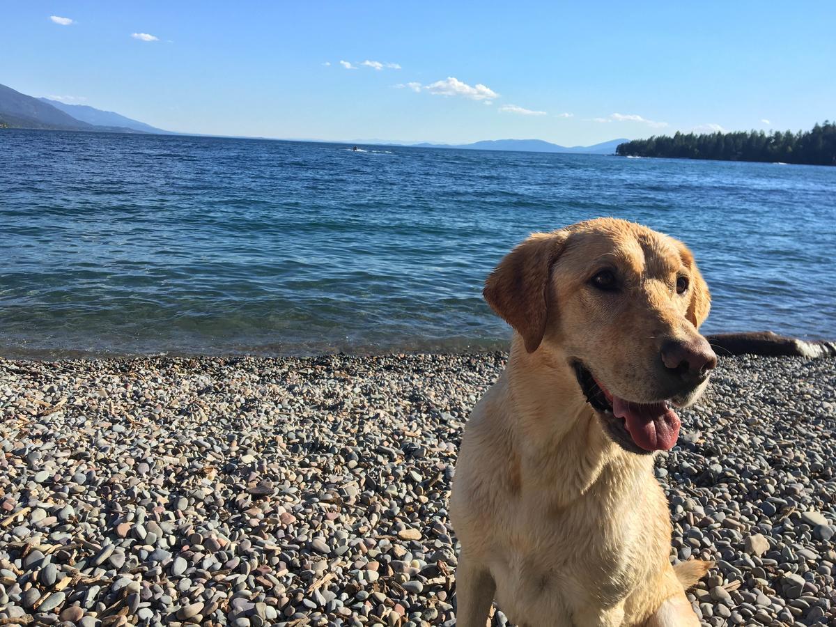 Flathead Lake Resort Woods Bay المظهر الخارجي الصورة
